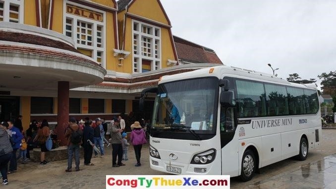 Chúng tôi cung cấp dịch vụ cho thuê các loại xe du lịch 29-45 chỗ và cung cấp dịch vụ cho thuê xe giường nằm 36-40 giường, để đáp ứng nhu cầu di chuyển của bạn trong chuyến du lịch.