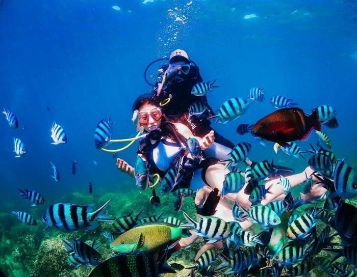 Tắm biển và lặn ngắm san hô biển Bình Tiên là hai hoạt động nổi tiếng tại đây, cho phép du khách trải nghiệm cảm giác thư giãn và khám phá vẻ đẹp tuyệt vời của đại dương, với những rạn san hô đầy màu sắc và đa dạng sinh học.