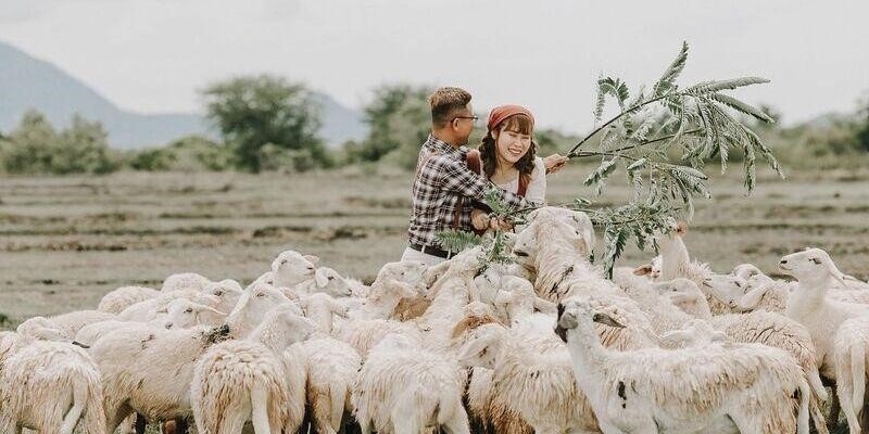Đồng cừu An Hòa là một khu vực đồng cỏ rộng lớn, nằm ở vùng nông thôn của thành phố, với cảnh quan xanh mướt và không gian thoáng đãng.