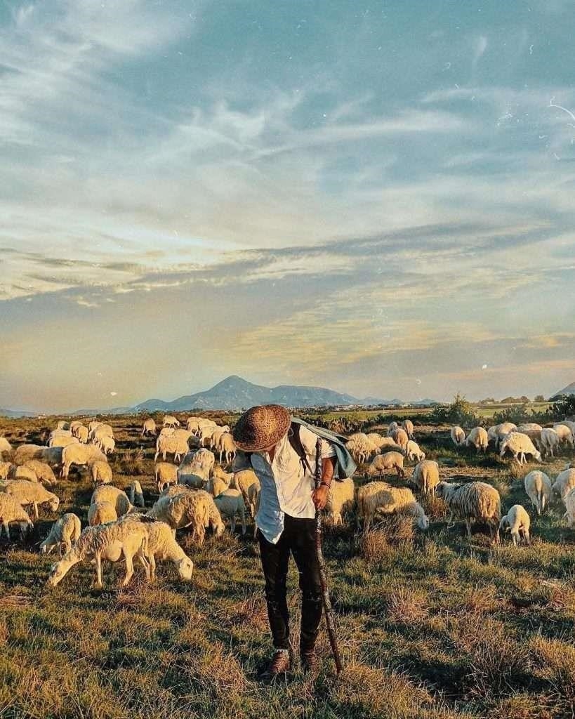 Đồng cừu An Hòa là một khu vực đồng cỏ rộng lớn nằm ở thành phố An Hòa, với cảnh quan xanh mướt và không gian rộng lớn, tạo điều kiện thuận lợi cho chăn nuôi cừu và là nguồn cung cấp thực phẩm quan trọng cho địa phương.
