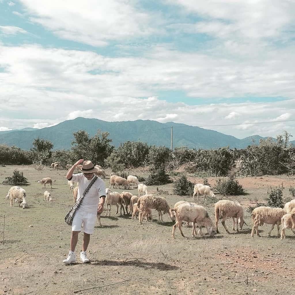 Đồng cừu An Hòa là một khu đồng cỏ rộng lớn, nằm ở vùng An Hòa, với cảnh quan hữu tình và hệ sinh thái phong phú.