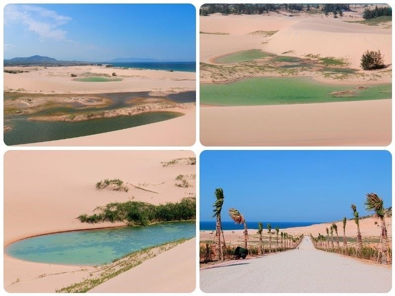 Đồi cát Sơn Hải là một điểm du lịch nổi tiếng tại Bình Thuận, nơi có những cảnh quan đẹp tuyệt vời với những dãy đồi cát mịn màng và rực rỡ. Bạn có thể tham gia vào các hoạt động như trượt cát, chụp ảnh hoặc thư giãn trên bãi biển gần đó.